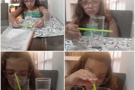 10. Refração da luz
