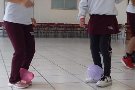 5. ed. física