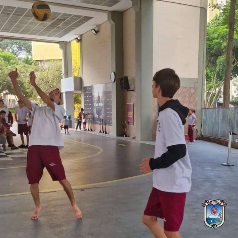 sem celular9