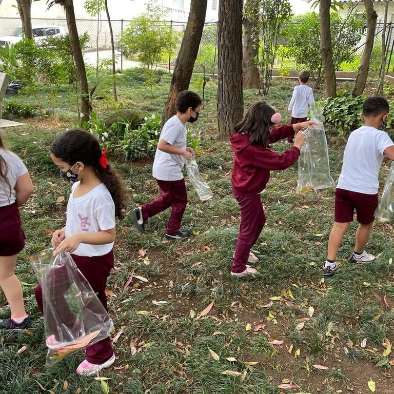 2. natureza